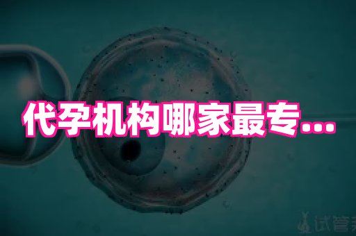 123试管孕网 4